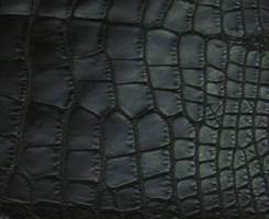 Matte Black Alligator Skin